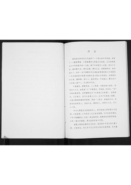 贵州王氏-王氏家谱[不分卷].pdf电子版预览图3