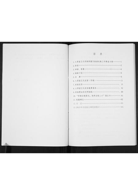 贵州王氏-王氏家谱[不分卷].pdf电子版预览图5