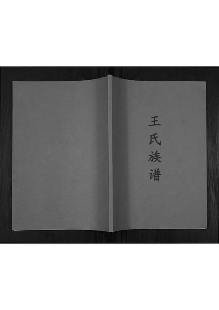 贵州王氏-王氏族谱[不分卷].pdf电子版缩略图