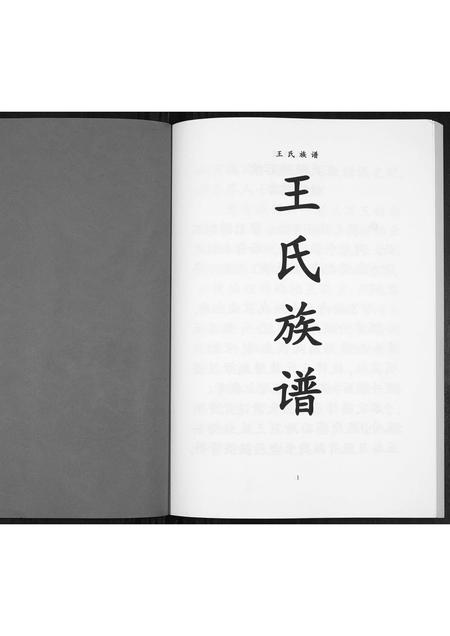 贵州王氏-王氏族谱[不分卷].pdf电子版预览图1
