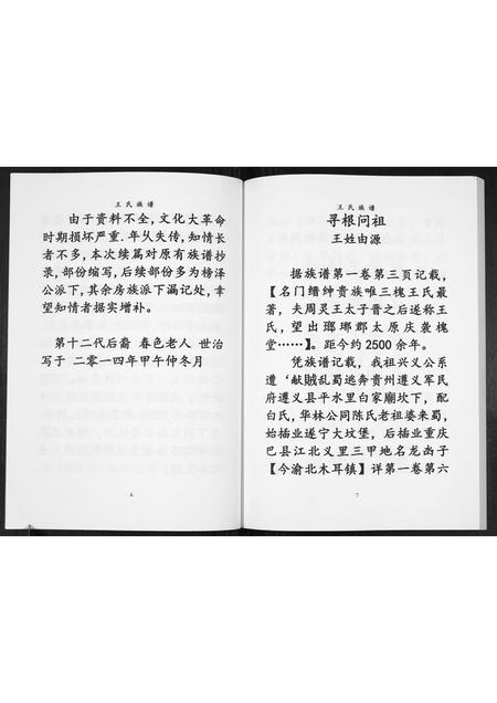 贵州王氏-王氏族谱[不分卷].pdf电子版预览图4