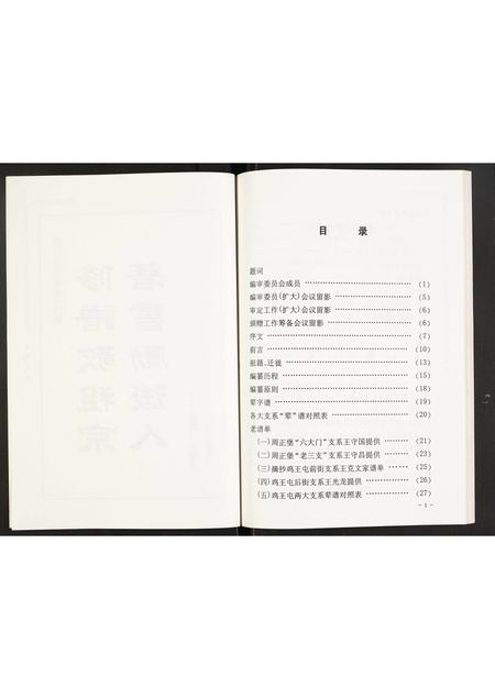 辽宁王氏-王氏家谱.pdf电子版预览图3