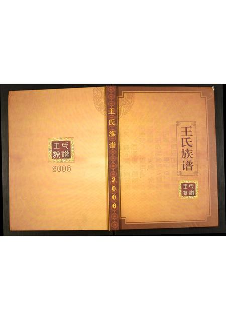 辽宁王氏-王氏族谱.pdf电子版缩略图