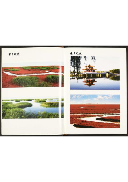 辽宁王氏-王氏族谱.pdf电子版预览图5