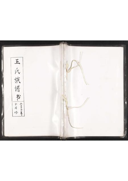 辽宁王氏-王氏族谱书.pdf电子版缩略图