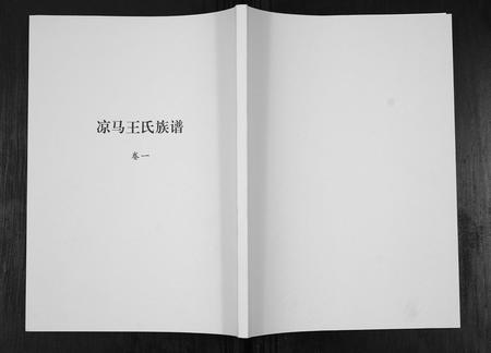 陜西王氏-凉马王氏族谱[4卷].pdf电子版缩略图