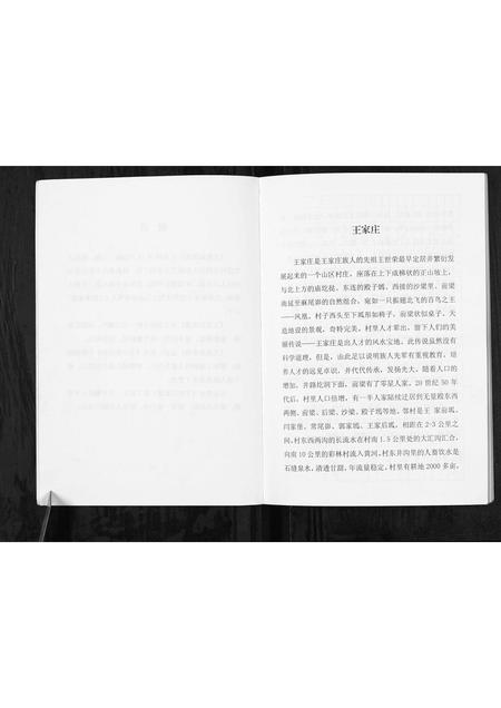 陜西王氏-神木南鄕王家庄家谱[不分卷].pdf电子版预览图3