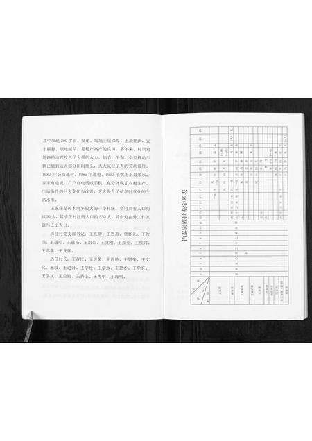 陜西王氏-神木南鄕王家庄家谱[不分卷].pdf电子版预览图4