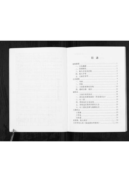 陜西王氏-神木南鄕王家庄家谱[不分卷].pdf电子版预览图5