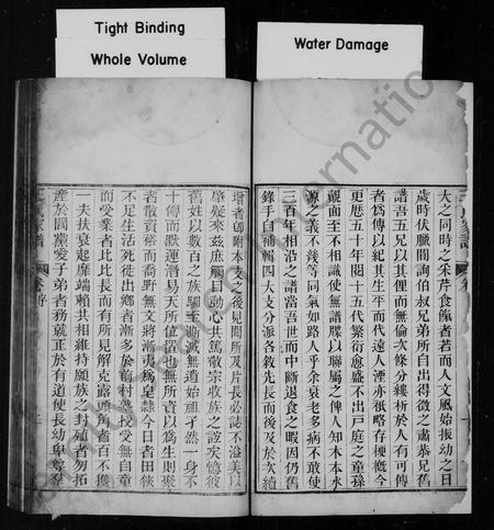 云南王氏-王氏家谱.pdf电子版预览图3