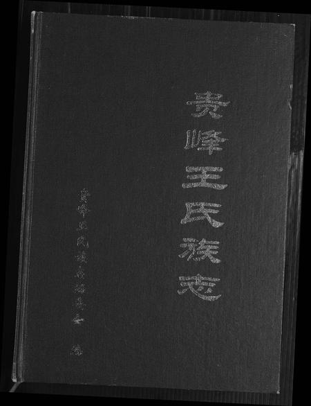 云南王氏-贵峰王氏族志.pdf电子版缩略图