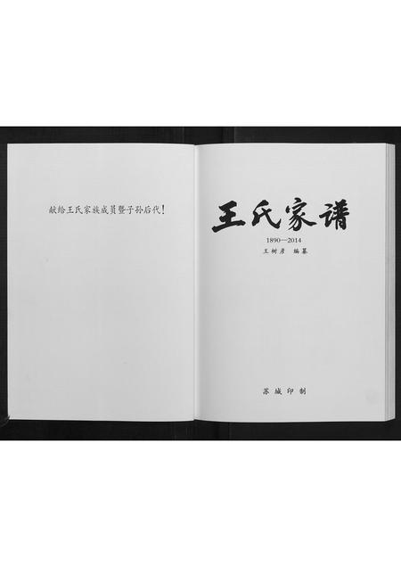 黑龙江王氏-王氏家谱[不分卷].pdf电子版预览图2