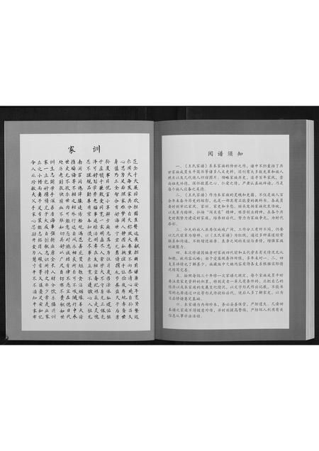 黑龙江王氏-王氏家谱[不分卷].pdf电子版预览图5