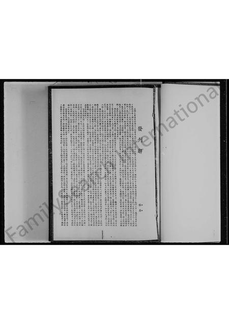 海外王氏-星马王氏宗谊录.pdf电子版预览图2