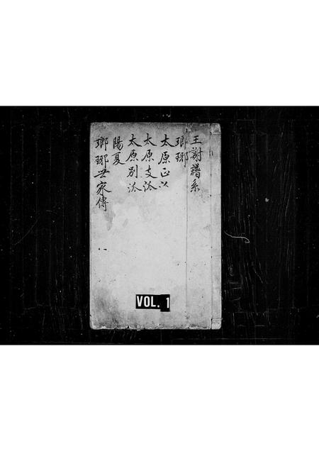 山东王氏谢氏-王谢世家.pdf电子版缩略图