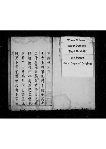 山东王氏谢氏-王谢世家.pdf电子版预览图1