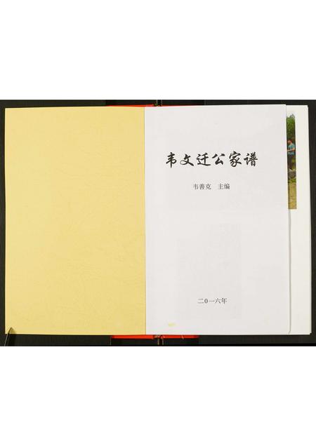 广西韦氏-韦文迁公家谱.pdf电子版预览图1