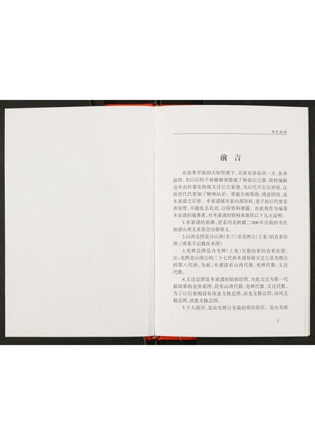 广西韦氏-韦文迁公家谱.pdf电子版预览图5