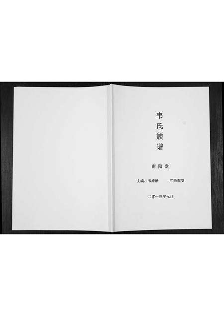 广西伟氏-伟氏族谱[不分卷].pdf电子版缩略图