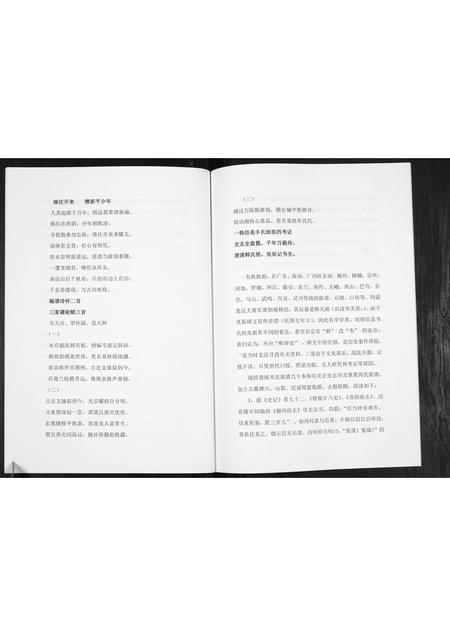 广西伟氏-伟氏族谱[不分卷].pdf电子版预览图5