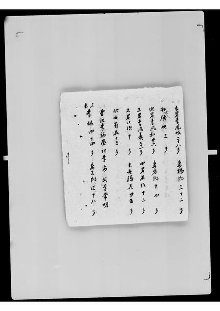吉林未知-吉林扶余县八区陶赖昭户口底册.pdf电子版预览图3