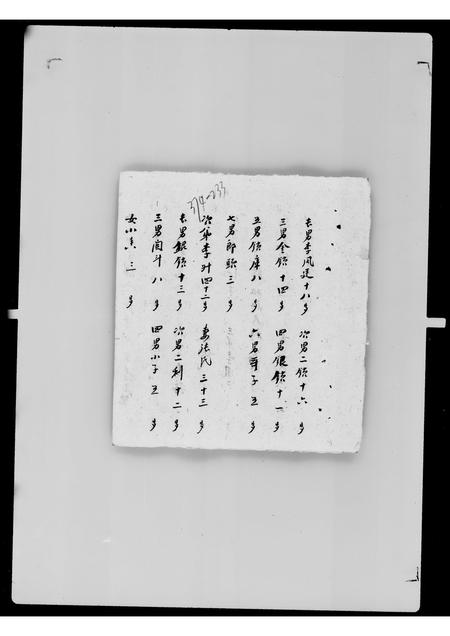 吉林未知-吉林扶余县八区陶赖昭户口底册.pdf电子版预览图4