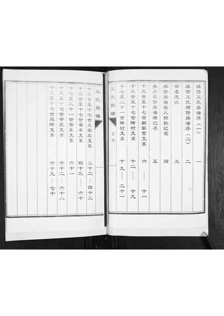 山东未知-王氏族谱.pdf电子版预览图2