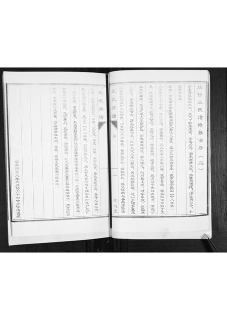 山东未知-王氏族谱.pdf电子版预览图4