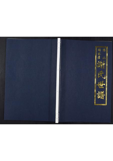 山东未知-谢氏世谱.pdf电子版缩略图