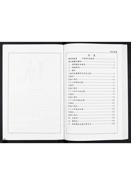 山东未知-谢氏世谱.pdf电子版预览图4