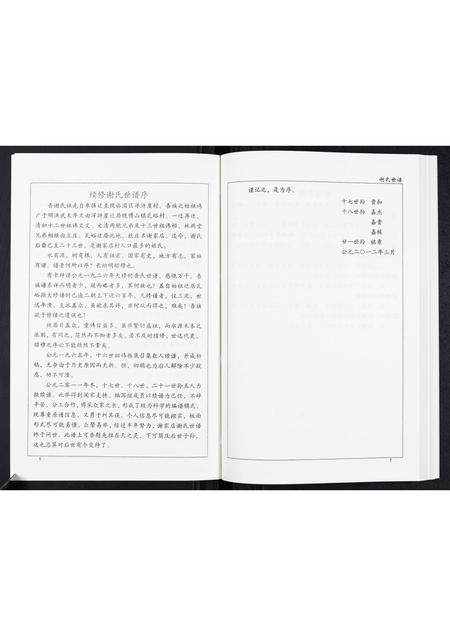 山东未知-谢氏世谱.pdf电子版预览图5