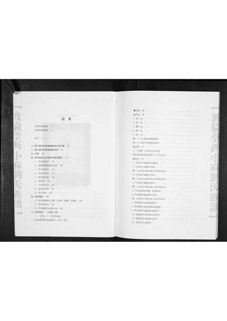 山西未知-西小麻刘氏族谱.pdf电子版预览图5