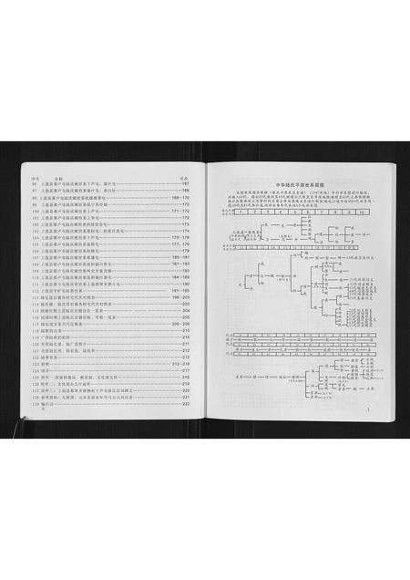 广西未知-广西省上思陆氏宗谱.pdf电子版预览图4
