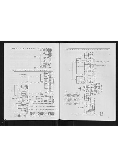 广西未知-广西省上思陆氏宗谱.pdf电子版预览图5