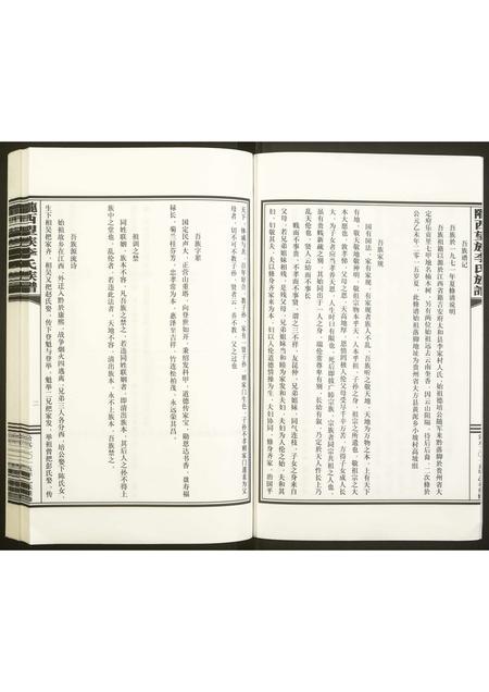 贵州未知-陇西望族李氏族谱.pdf电子版预览图3