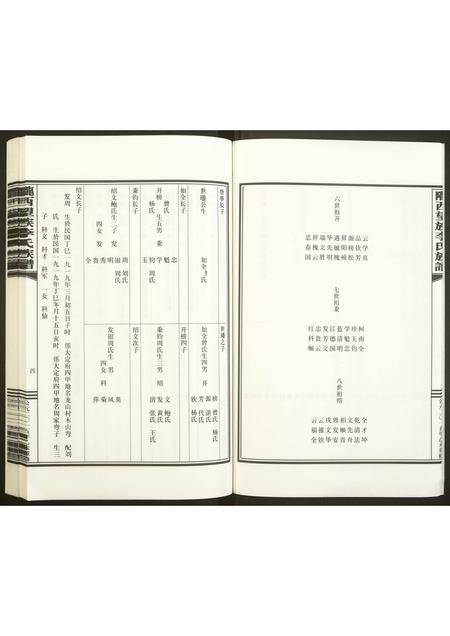 贵州未知-陇西望族李氏族谱.pdf电子版预览图5