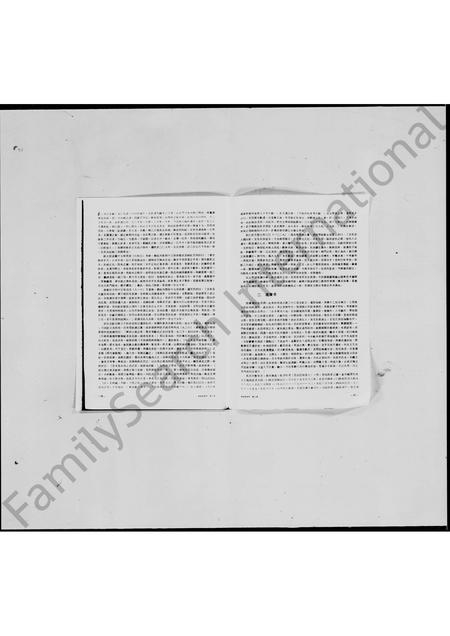 海外未知-校补新加坡许氏宗谱.pdf电子版预览图2