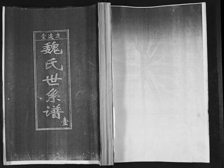 山东魏氏-魏氏世系谱.pdf电子版缩略图