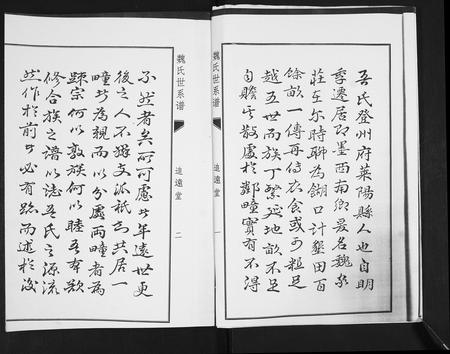 山东魏氏-魏氏世系谱.pdf电子版预览图2