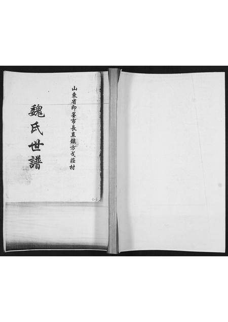 山东魏氏-魏氏世谱[不分卷].pdf电子版缩略图