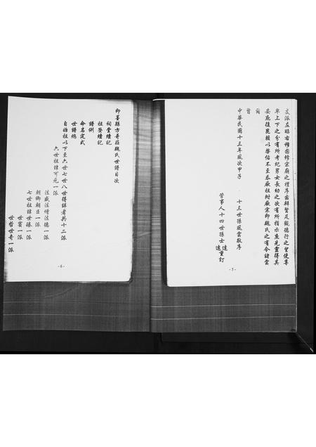 山东魏氏-魏氏世谱[不分卷].pdf电子版预览图4