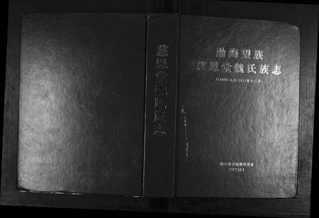 山东魏氏-魏氏族志[9章].pdf电子版缩略图