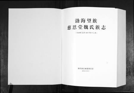 山东魏氏-魏氏族志[9章].pdf电子版预览图1
