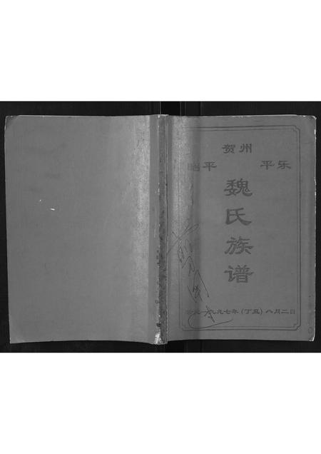 广西魏氏-魏氏族谱.pdf电子版缩略图