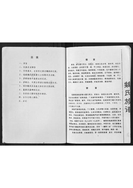 广西魏氏-魏氏族谱.pdf电子版预览图2