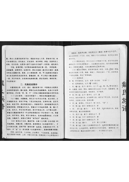 广西魏氏-魏氏族谱.pdf电子版预览图3