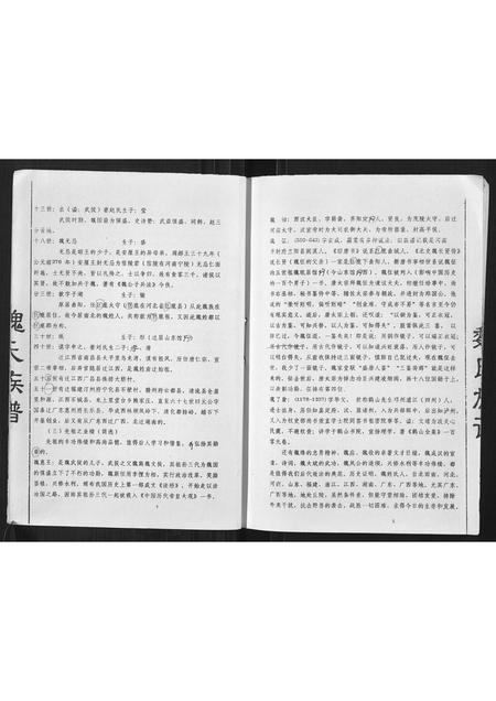 广西魏氏-魏氏族谱.pdf电子版预览图4