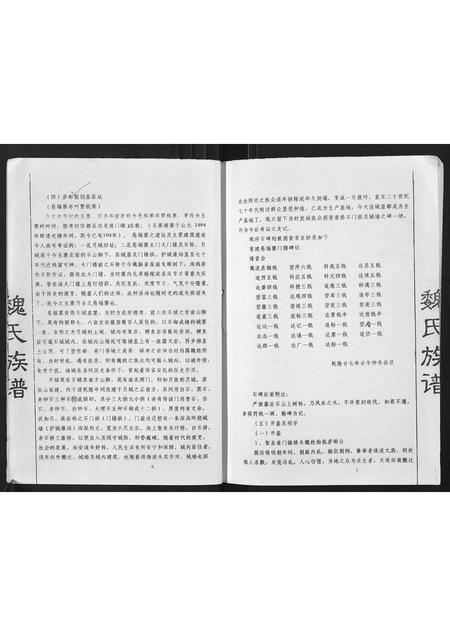 广西魏氏-魏氏族谱.pdf电子版预览图5