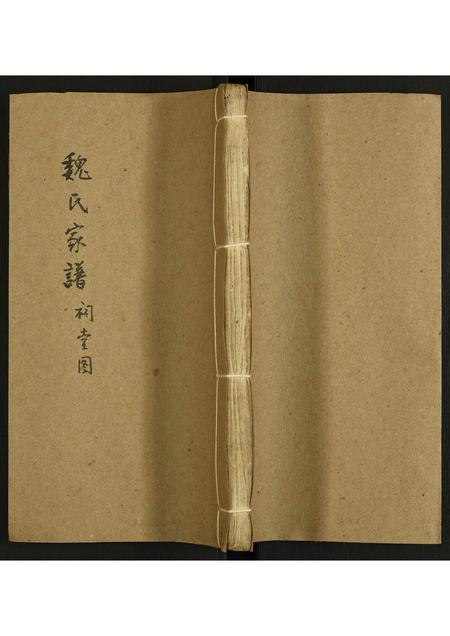 海南魏氏-魏氏家谱.pdf电子版缩略图