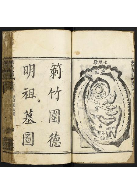 海南魏氏-魏氏家谱.pdf电子版预览图3